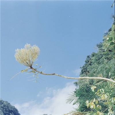 必博手机网页版