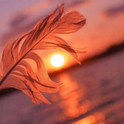 中欧体育最新地址