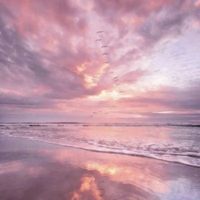 星空体育平台官网